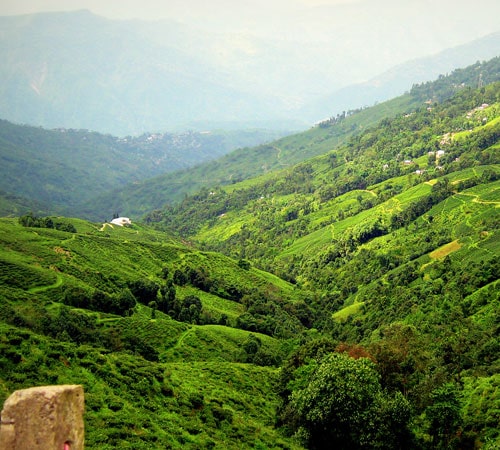 Sikkim Darjeeling Family Tour