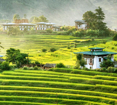 Bhutan Delight Tour