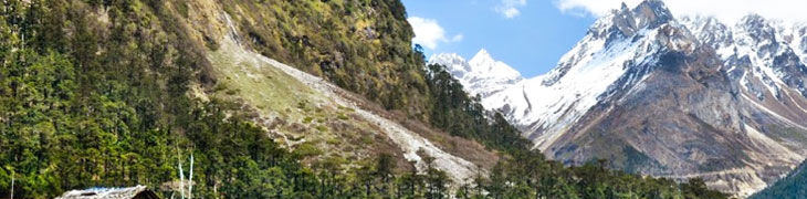 Yumthang Valley